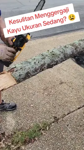 Gergaji Chainsaw 12 Inci kami!  Dengan mata potong sepanjang 12 inci, gergaji ini adalah pilihan ideal untuk memotong kayu berukuran sedang. Alat ini ringan, mudah dikendalikan, dan sangat bertenaga. Sangat pas untuk berbagai proyek, dari memotong dahan pohon sampai menyiapkan kayu bakar. Dilengkapi dengan hook praktis, Anda bisa menggantungkannya dengan aman di pinggang atau tangga saat tidak digunakan, memastikan tangan Anda tetap bebas dan siap untuk pekerjaan berikutnya. ​#chainsaw #gergajimesin #alatpotongkayu #pertukangan #proyekDIY 