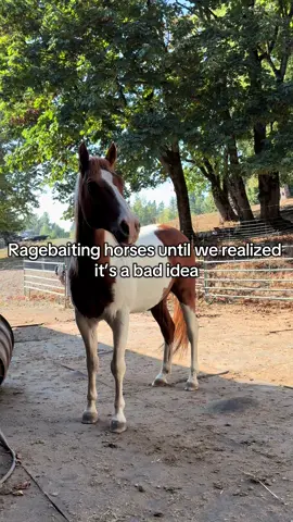 #fyp #horse #horses #equestrian #farm 