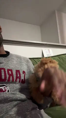 MJ only listen when I yell 🤦🏾‍♂️ #fyp #foryou #toypoodle #WheresMJ #JustcallMario 