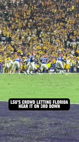 This #LSU Crowd is HYPED after this 3rd down STOP
