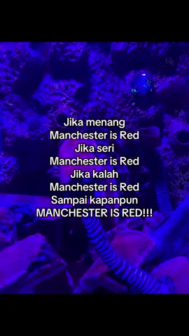 Jangan lupa minggu pukul 22.30 KING emyu lawan siti #fyp #manchesterunited #manunited #manunitedfc #manunitedfans 