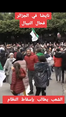 manifestation en Algérie, le peuple veut le changement du régime #algerie🇩🇿 #123 #military  #teboun 