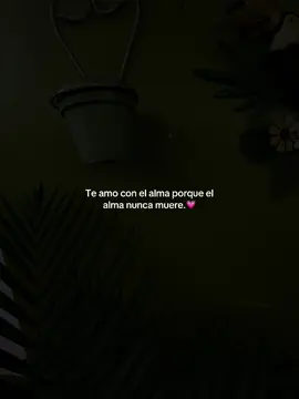 El alma es algo que nunca muere.💗#amor #dedicar #novios #teamo @⭑𓂃𝐅𝐀𝐓𝐈𝐌𝐀⋆˚࿔ 