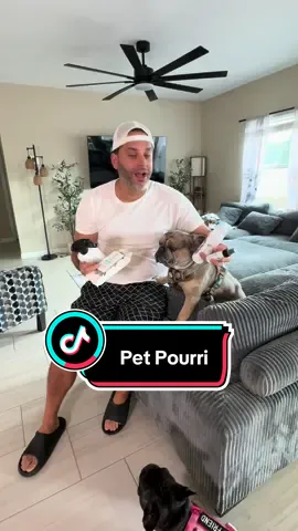 Pet Pourri Odor Eliminator! This bundle works great for our frenchies. #petpourri #petmusthaves #petodorremover #andrewpardine #unboxing_goodiez 