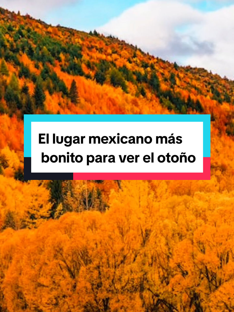 El lugar mexicano más bonito para ver el otoño #mexico #viajes #turismo #SabiasQue #juacobartolo 