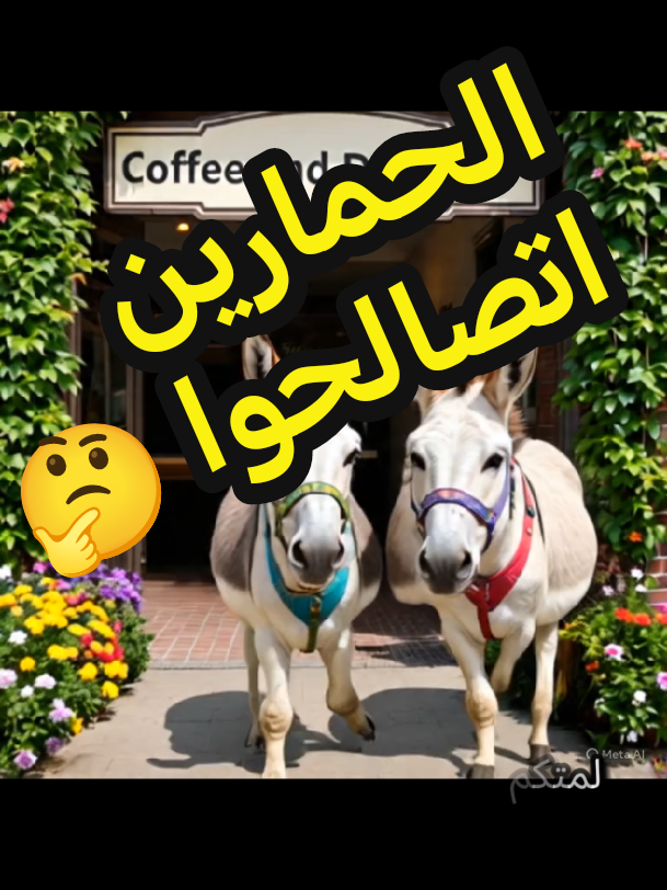 #لمتكم مع بعض ده مش ميزة🙄 #مصر #عرب #ضحك_ #صحاب_المصلحة🦓🇸🇲 