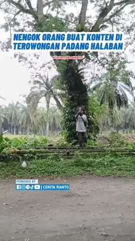 Hayo Siapa Yang Kenal Sama Mereka Ini ??? Punya Vidio Menarik Lainnya We❓ 📨 Kirimkan Video Klen Melalui DM Instagram kami atau tag @ceritaranto  . #ceritaranto #ceritanyaanakranto #labura #padanghalaban #padanghalaban 