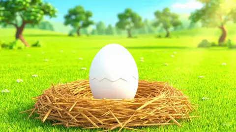 Vòng đời phát triển của con gà Bạn nào cần thì sử dụng nhé! Bạn nào mong muốn làm video dạng như vậy ib mình nhé! 