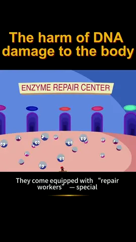 The harm of DNA damage to the body #knowledge #shortvideo #tiktok 