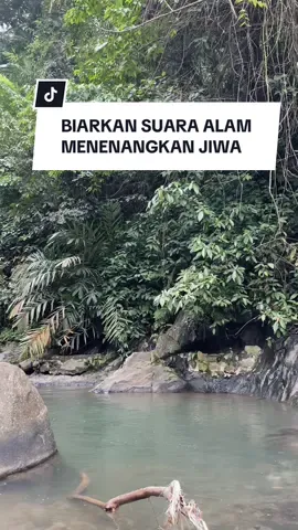 Gemercik air sungai membawa damai, menenangkan hati yang lelah.  . . . #suaraair #gemercikairsungai #relaksasialami #suaraairdanalam #alamyangindah #sejuk #alamindonesia #suasanapedesaan #indahnyasungai #tenangbersamaalam #healingalami #alamnusantara