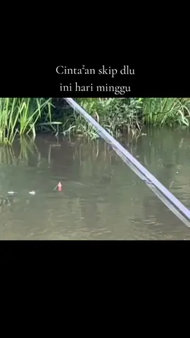Mancing Geng 😅 #anglerrebahaners #fishing #fyp #mancing #foryoupage 