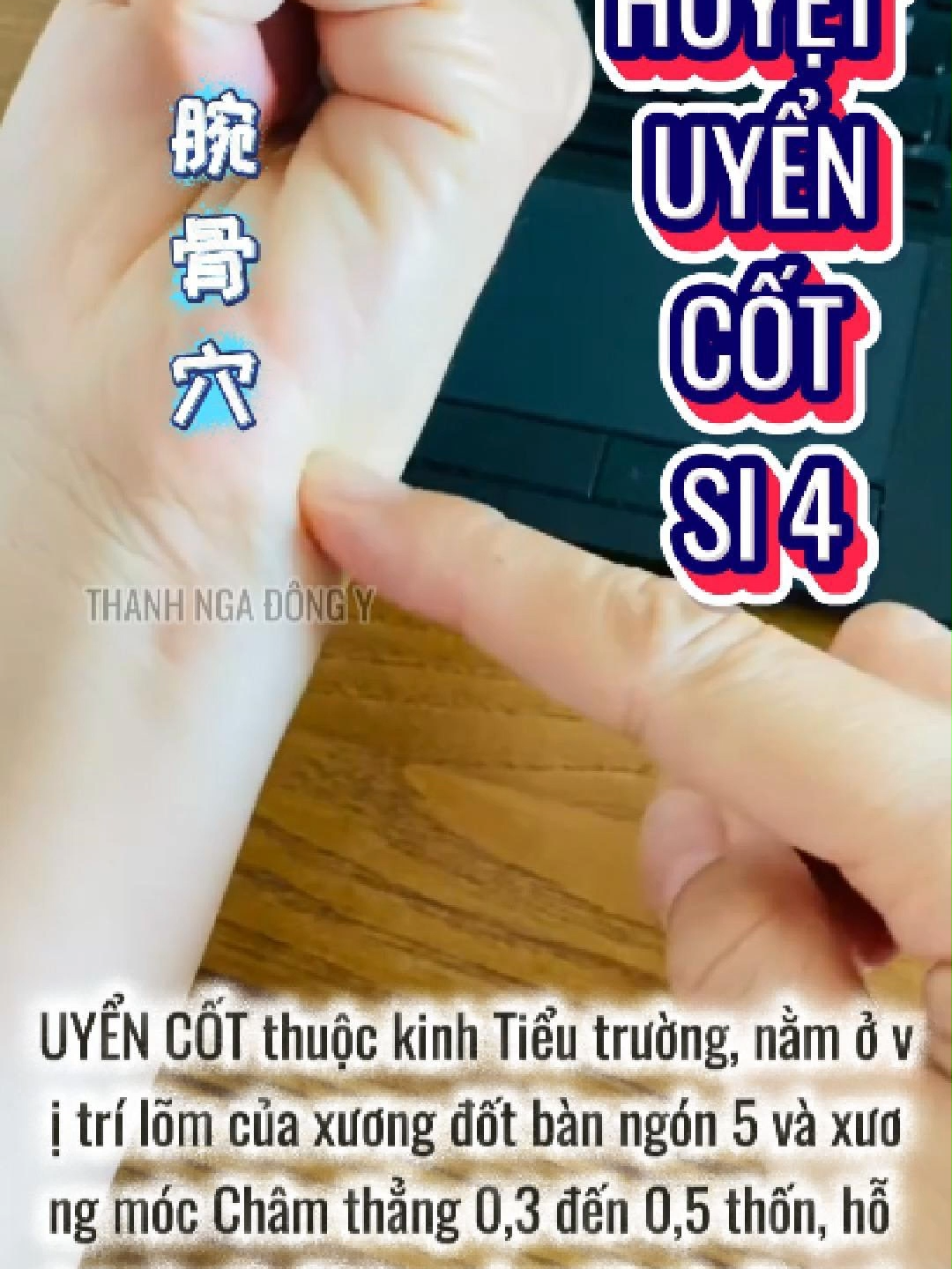 HUYỆT UYỂN CỐT SI4 - 腕骨穴 (Wàngǔ xué) Small Intestine Meridian Point 4 #thanhngadongy #kinhthuthieuduongtieutruong #kinhtieutruong #huyetuyencot #si4