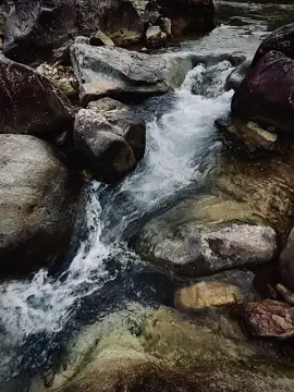Hết hạ tàn,xuân,thu sang 