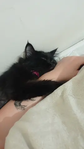 😍😍😍