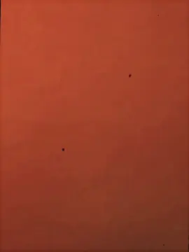 🥰🥰🥰