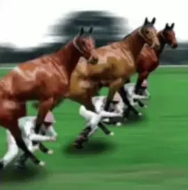 #fypシ #fypシ゚viral #foryoupage #fyp #horse 