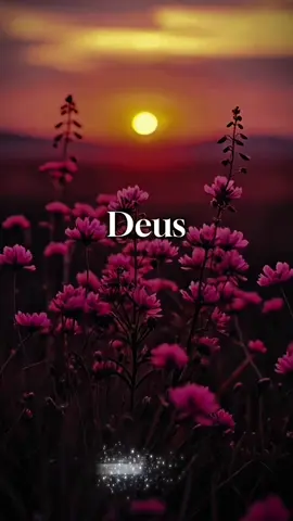 Bom dia, Deus ❤️🙏 #bomdia #status #domingo #oração #finaldesemana 