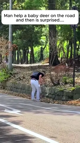 Man help a baby deer on the road and then is surprised…… #rescue #animals #rescueanimals #fyp #deer 