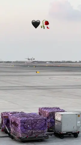 #🫶#A350 landing #🇶🇦 #foryoupage❤️❤️ #viraltiktok #Single Foryou alone life @@ynel0426 