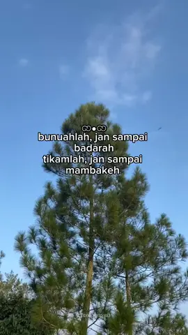 #laguminang #minangrancak #katokatominang #masukberanda #fypシ゚ 