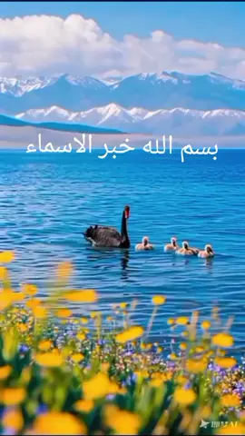 بسم الله الحي ###بسم الله