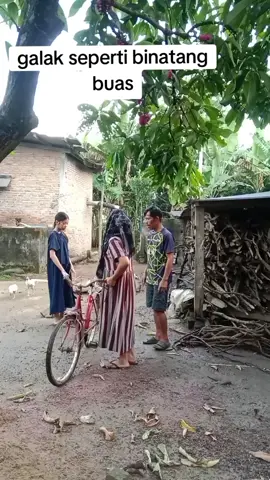 galak nya luar biasa#vidiolucu #viral #fyp 