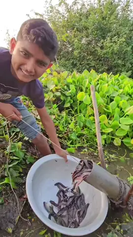 #fishing #fishingtiktoks #viral #foryoupage #fishinglife 