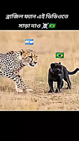 #ব্রাজিলের সাপোর্টার☠️ #এই ভিডিওতে সারা দাও #Brazilian #