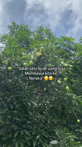 Ambil kada nih🥲 #xybca #fypシ゚ 