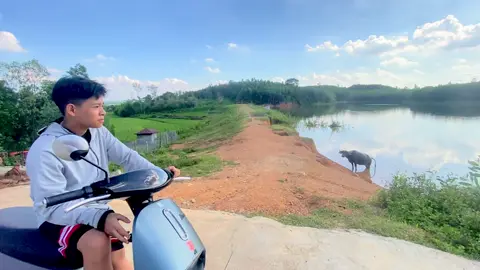 Xh đi mà #fytシ #xuhuongtiktok #CapCut 