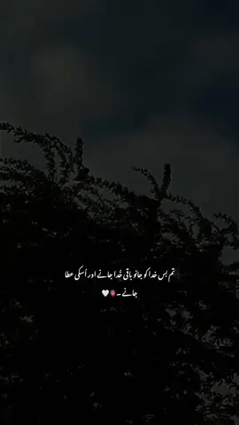 Beshak 🥹🤍__ 