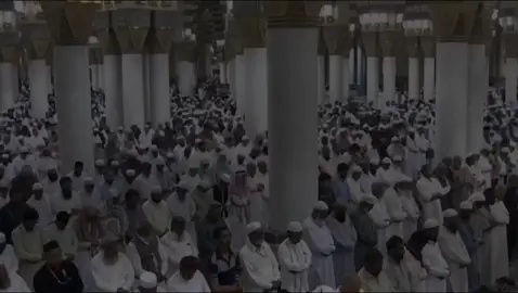 #سورة_الحاقة #احمد_بن_طالب #رحم_الله_والدي_واموات_المسلمين 