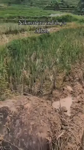 Yeng penting bisa tersenyum..👍👍#kayubalapoficial #Duaputri #JAR3 #trailadventureindonesia🇮🇩 #fypシ゚viral🖤tiktok 