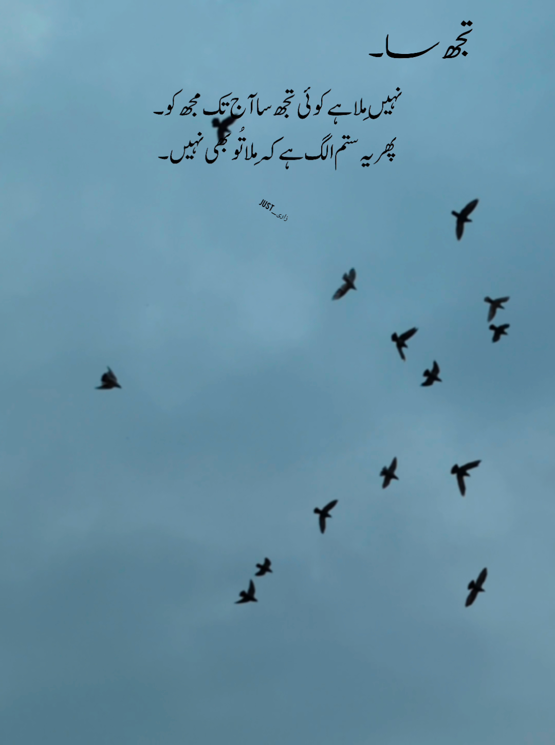 نہیں ملا ہے کوئی تجھ سا آج تک مجھ کو۔ پھر یہ ستم الگ ہے کہ ملا تو بھی نہیں۔ #just_zarii05 #foryoupage #foryoupage #plzunfrezemyaccount #plzdontunderviewsmyvedios 
