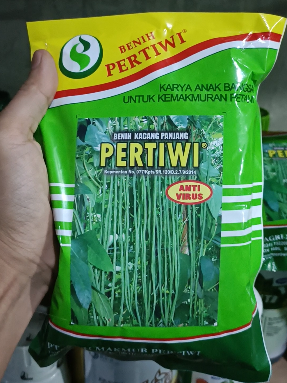 Benih kacang panjang PERTIWI #benih #kacangpanjang #petanimuda #petaniindonesia🇮🇩🇮🇩🇮🇩🌿🌿 #bibitunggul 