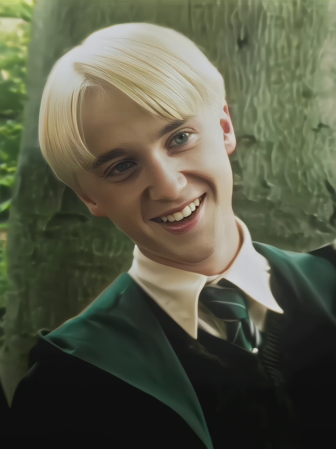 el roasting [#dracotok #dracomalfoy #tomfelton #edit #velocity #fyp]