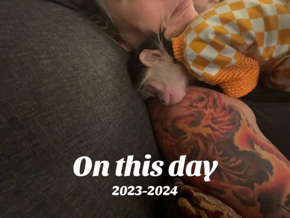 #onthisday 