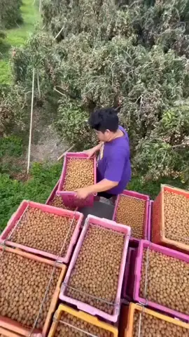 #🤔🤣រង់ចាំភាគបន្តរ