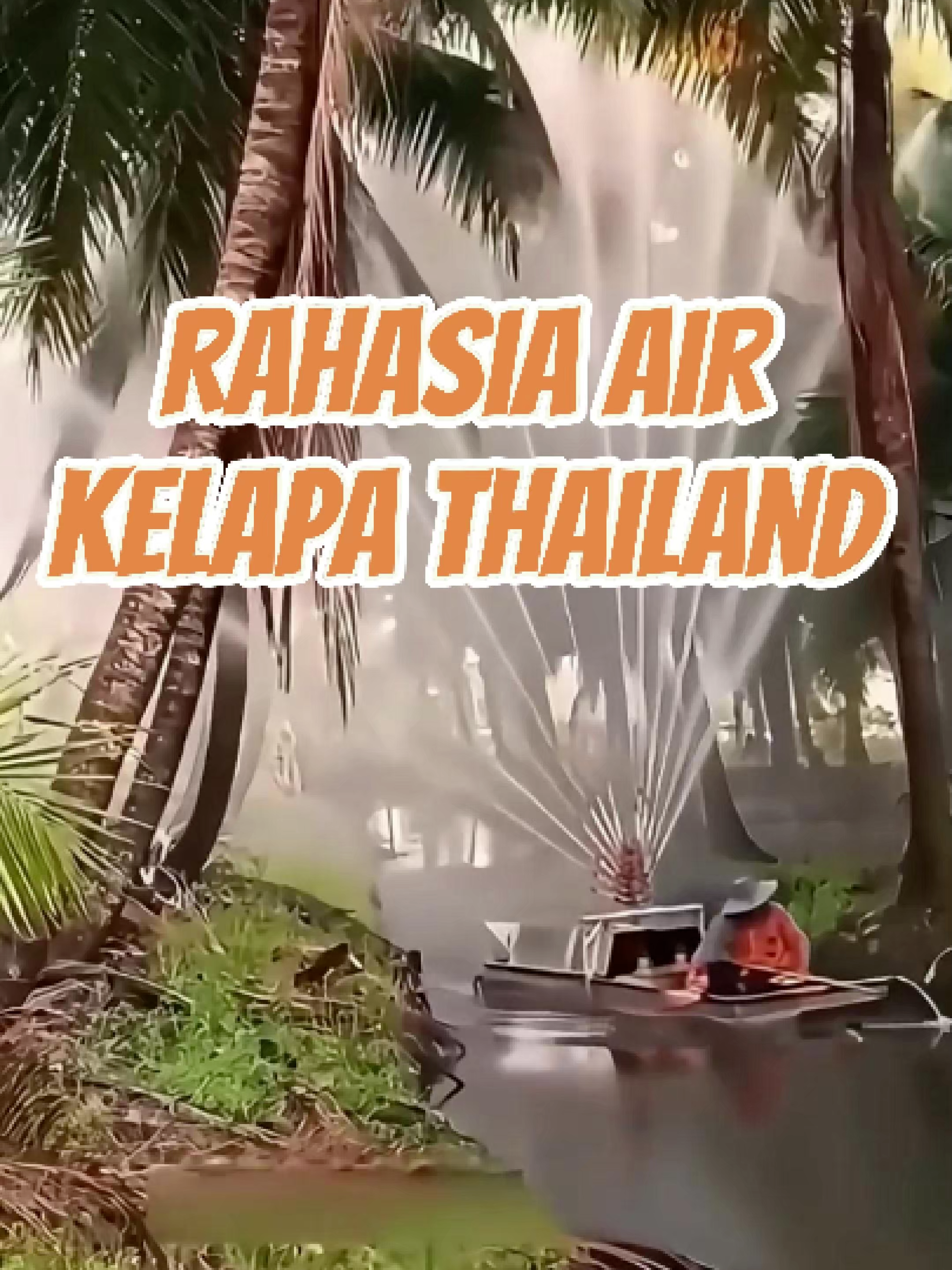 Rahasia air kelapa thailand yang mendunia #kelapathailand #kelapa #kelapagenjah #kelapapandan #berkebun