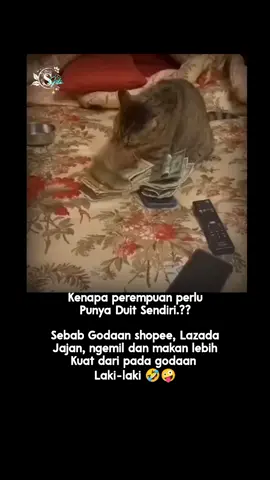 #sekedar_hiburan🌾 #®yn