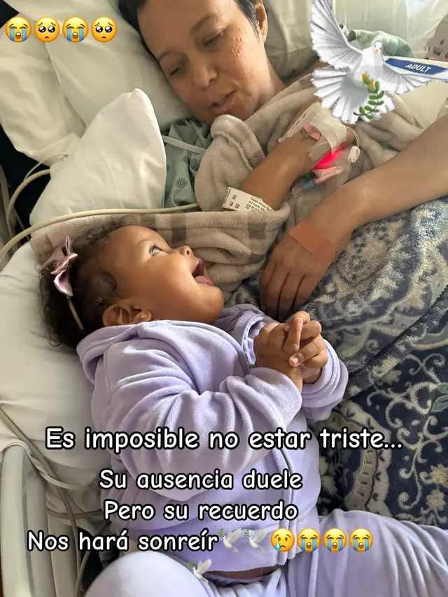 😭🕊️😭🕊️😭🕊️😭