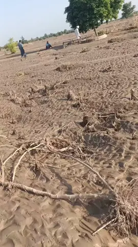 #kasur hight flood #velyloseflood😭😭😭😭😭😭😭😭😭😭😭😭😭😭😭😭😭😭😭😭😭😭😭😭😭😭😭😭 