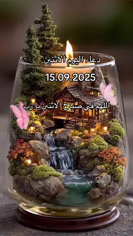 #دعاء #يوم #الاثنين #صبحكم_الله_بالخير_والعافيه🌸🌿 
