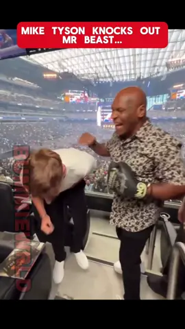 Mike Tyson knocks out Mr. Beast #miketyson #mrbeast #boxing #viral #trending 
