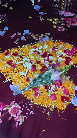১৪ তারিখ ৯ মাস ২০২৫ নতুন জীবন শুরু করলাম সবাই আমাদের জন্য দোয়া করবেন