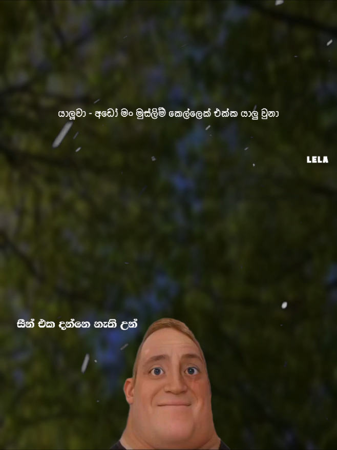 Part 02 | මේවා හැමෝටම තේරෙන්නෙ නැහැ 🗿🤌 #lela #lelaquotes  #fypシ #viral #trending 