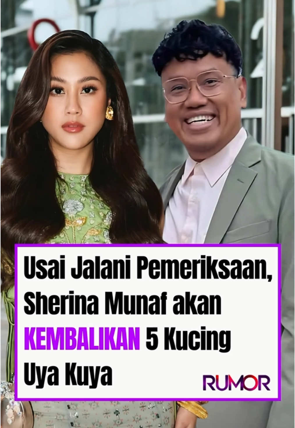 Sherina Munaf akan mengembalikan lima ekor kucing milik Uya Kuya yang sempat diamankan saat peristiwa penjarahan