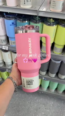 ofcourse TikTok shop has it CHEAPER 🤭 the perfect pink & it’s leak-proof! my dream 🩷✨ @Stanley Brand  #stanley #StanleyCup #leakprooftumbler #fyp 