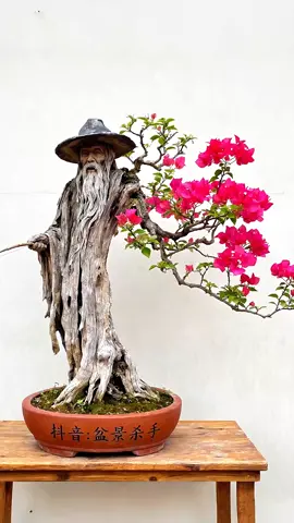 Tác phẩm mỏi mòn#câycảnh #caycanhnghethuat #bonsai 