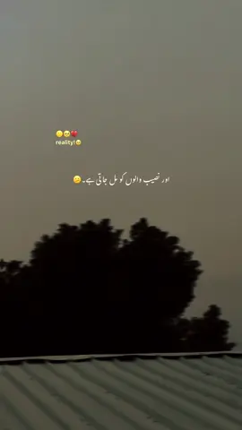 بدنصیبوں  کو تو اکثر عشق ہو جاتا  ہے۔🥹💔#fyp #1millionaudition #foryoupage #grow #account 